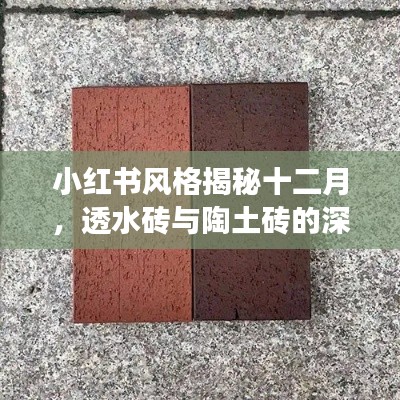 小红书揭秘十二月，透水砖与陶土砖深度对比