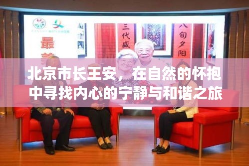 北京市长王安，自然之旅中寻找内心宁静与和谐之道