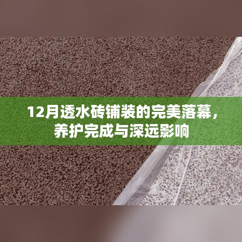 12月透水砖铺装完美收官，养护完成与长远影响分析