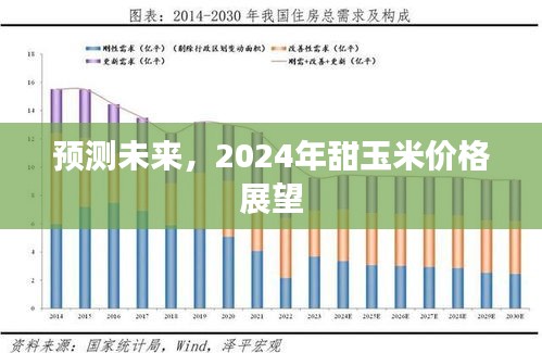 2024年甜玉米价格展望与预测