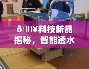 科技新品揭秘，智能透水砖重塑城市生态体验——北京建材城引领绿色革命