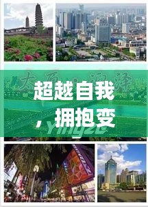 超越自我，拥抱变化，沭阳热门公园的成长之旅 2024年回顾