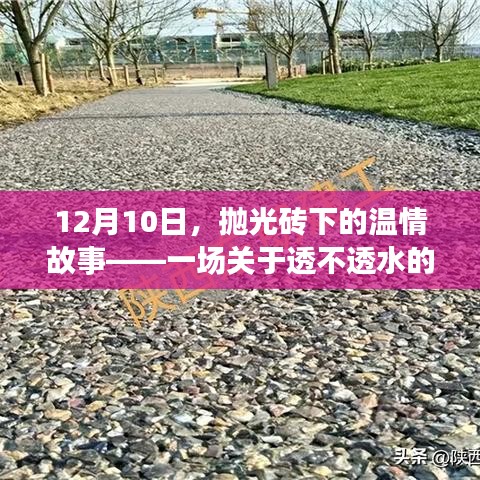 抛光砖下的温情之旅，透不透水的秘密与奇妙故事