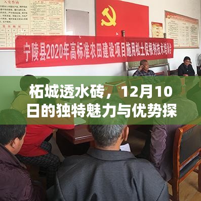 柘城透水砖，独特魅力与优势探讨——12月10日专刊