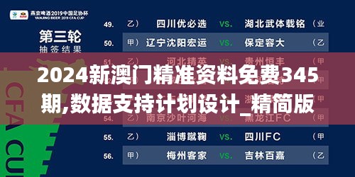 2024新澳门精准资料免费345期,数据支持计划设计_精简版9.351