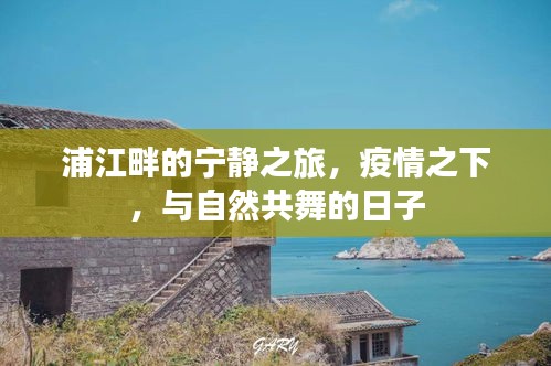 浦江畔的宁静之旅，疫情下的自然共舞日