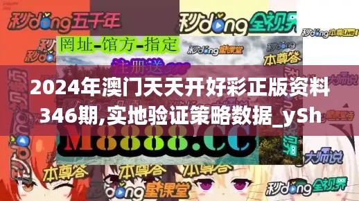 2024年澳门天天开好彩正版资料346期,实地验证策略数据_yShop4.842