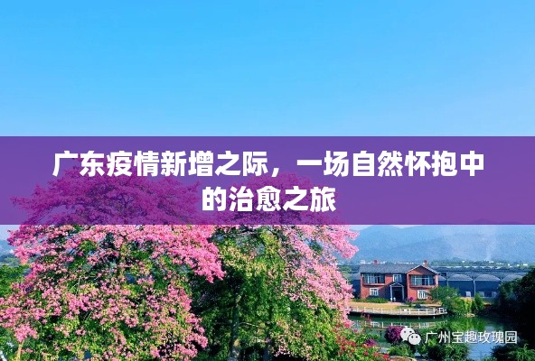 广东疫情新增背景下的自然治愈之旅