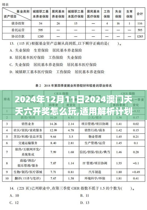 2024年12月11日2024澳门天天六开奖怎么玩,适用解析计划方案_macOS4.769