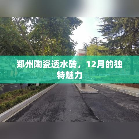 郑州陶瓷透水砖，12月独特魅力闪耀展现