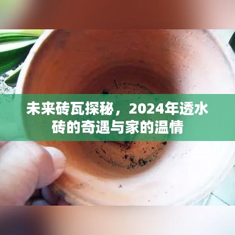 未来砖瓦探秘，透水砖的奇遇与家的温情（2024年展望）