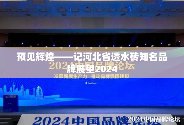 预见辉煌，河北透水砖知名品牌展望2024年