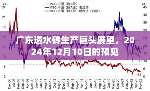 广东透水砖巨头展望，未来至2024年行业趋势洞察