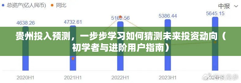 贵州投资动向预测，初学者与进阶用户的投资指南