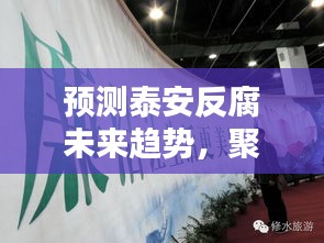 泰安反腐未来趋势预测，聚焦热门动态分析至2024年12月10日