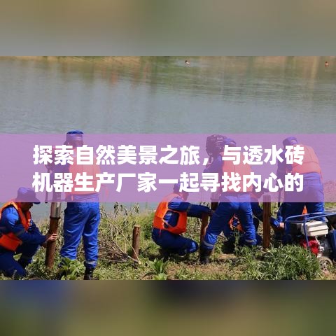 自然探索之旅，与透水砖机器厂家共赴心灵宁静之地