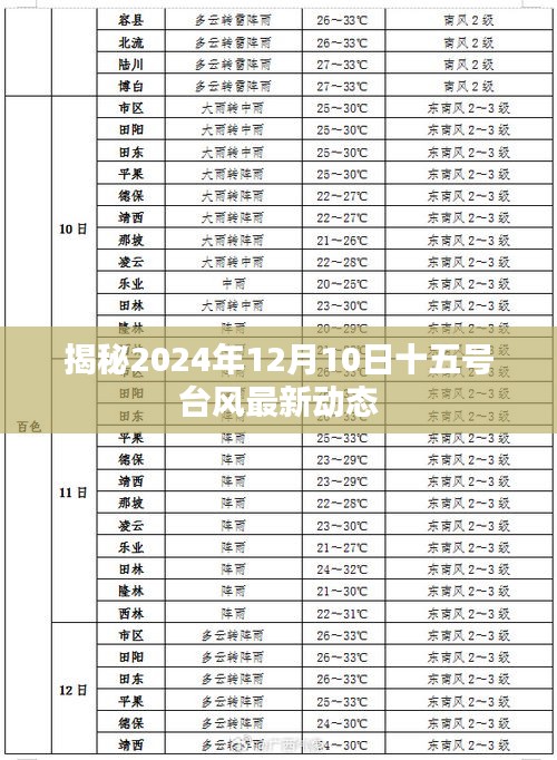 十五号台风最新动态揭秘，2024年12月10日台风走向预测