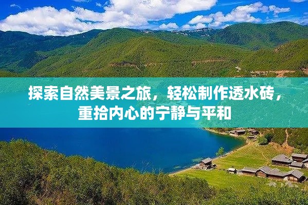 自然探索与透水砖制作，重拾内心的宁静与平和之旅