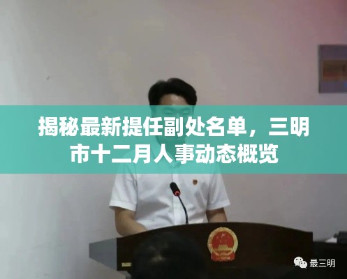 揭秘最新提任副处名单，三明市十二月人事动态全解析