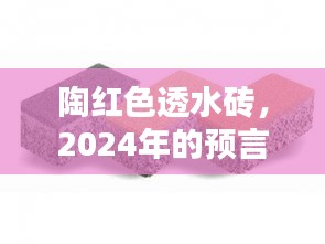 陶红色透水砖，预言与回忆的交织——2024年展望