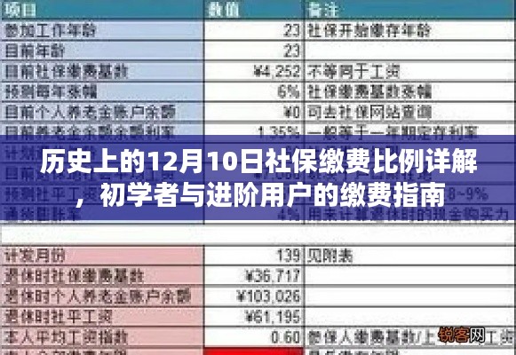 历史上的社保缴费比例详解，初学者与进阶用户的缴费指南——以12月10日为时间节点