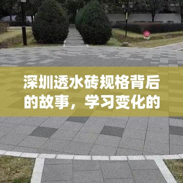 深圳透水砖规格背后的故事，探索变化力量与自信成就之旅