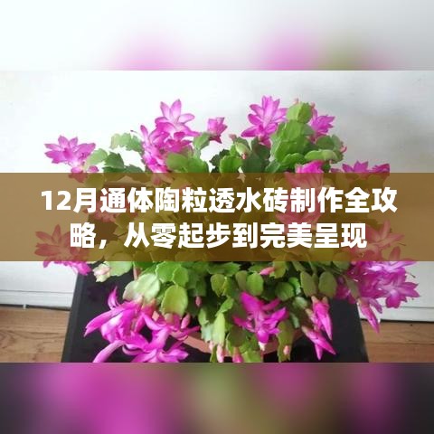 从零起步到完美呈现，12月通体陶粒透水砖制作全攻略