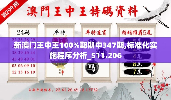 新澳门王中王100%期期中347期,标准化实施程序分析_S11.206