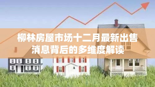 柳林房屋市场十二月最新出售消息深度解析