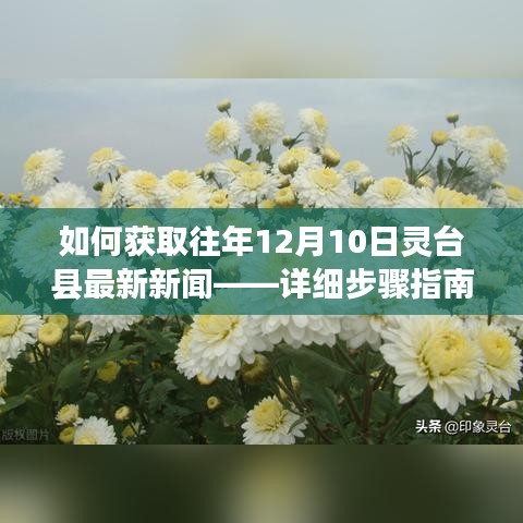 灵台县往年12月10日新闻获取指南