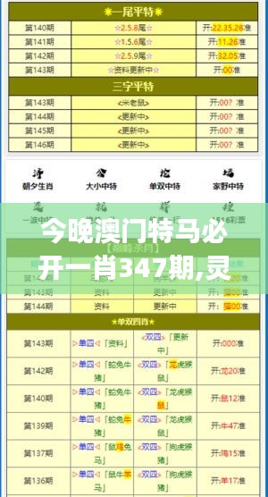 今晚澳门特马必开一肖347期,灵活解析实施_SHD10.507