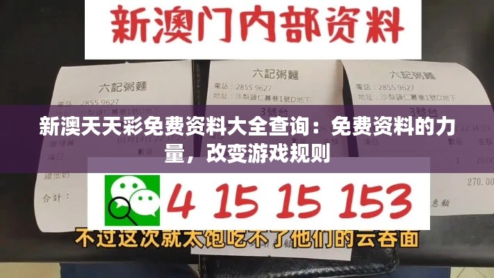 新澳天天彩免费资料大全查询：免费资料的力量，改变游戏规则