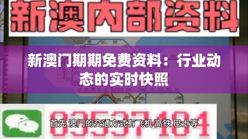 新澳门期期免费资料：行业动态的实时快照