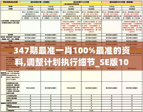 347期最准一肖100%最准的资料,调整计划执行细节_SE版10.924