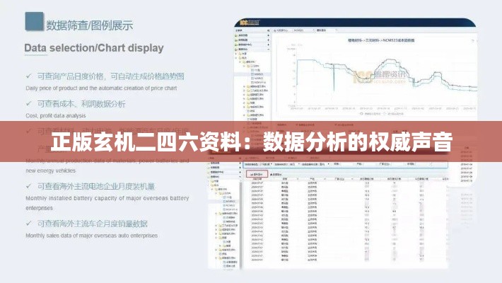 正版玄机二四六资料：数据分析的权威声音