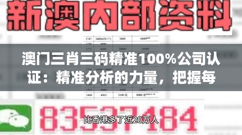 澳门三肖三码精准100%公司认证：精准分析的力量，把握每一个赌局