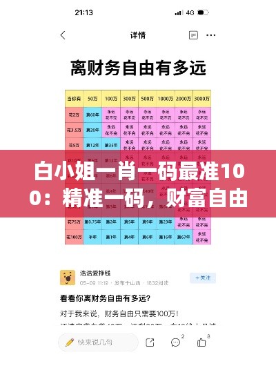 白小姐一肖一码最准100：精准一码，财富自由的起点