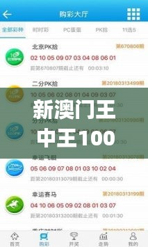 新澳门王中王100%期期中,实地调研解释定义_WearOS8.605