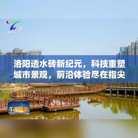 洛阳透水砖科技新纪元，重塑城市景观，指尖前沿体验