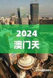 2024澳门天天开好彩资料？洞察澳门博彩业的成功案例