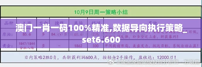 澳门一肖一码100%精准,数据导向执行策略_set6.600