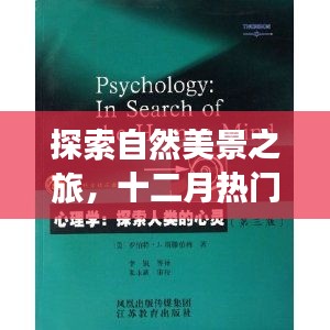 探索自然美景与十二月港币图案的心灵之旅，寻找内心的宁静与平和