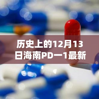 2024年12月13日 第28页