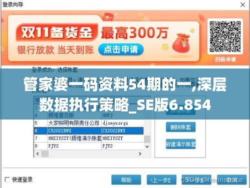 管家婆一码资料54期的一,深层数据执行策略_SE版6.854