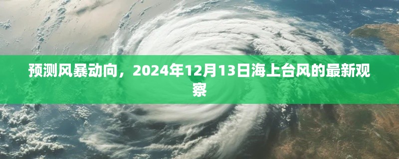 最新观察，预测风暴动向，2024年12月13日海上台风动态