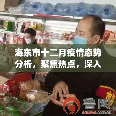 海东市十二月疫情态势深度解析与热点聚焦