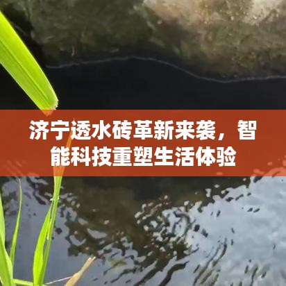 济宁透水砖革新引领智能科技重塑生活体验