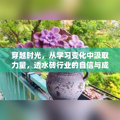 穿越时光，探寻学习变化的力量，透水砖行业的自信成就之旅