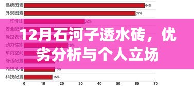 12月石河子透水砖，优劣分析与个人观察