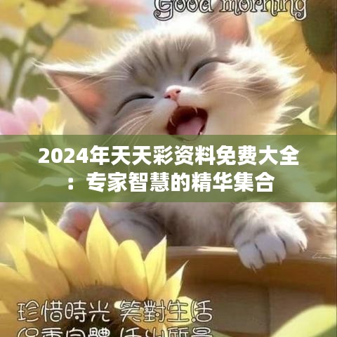 2024年12月13日 第7页